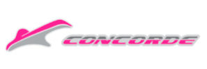 Logo-Concorde-e1556108889417-297x100